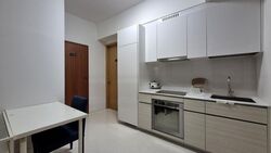 TRE Residences (D14), Condominium #482035621